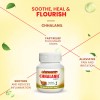 Dhanwantri Pharmaceutical, ChhalaNil, Mouth Ulcer,chhala